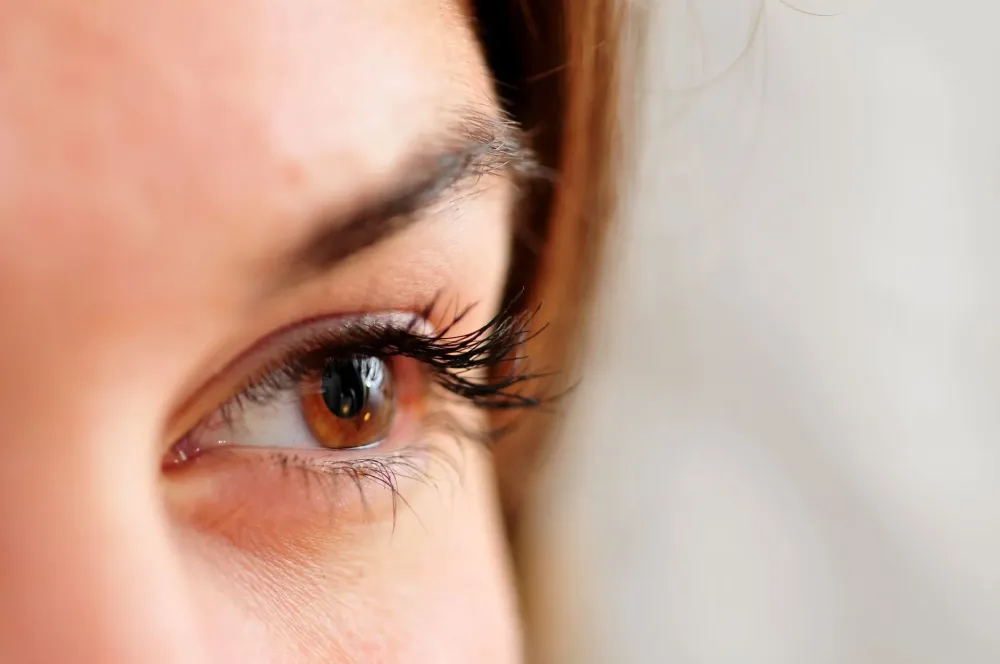 cils-et-sourcils-1